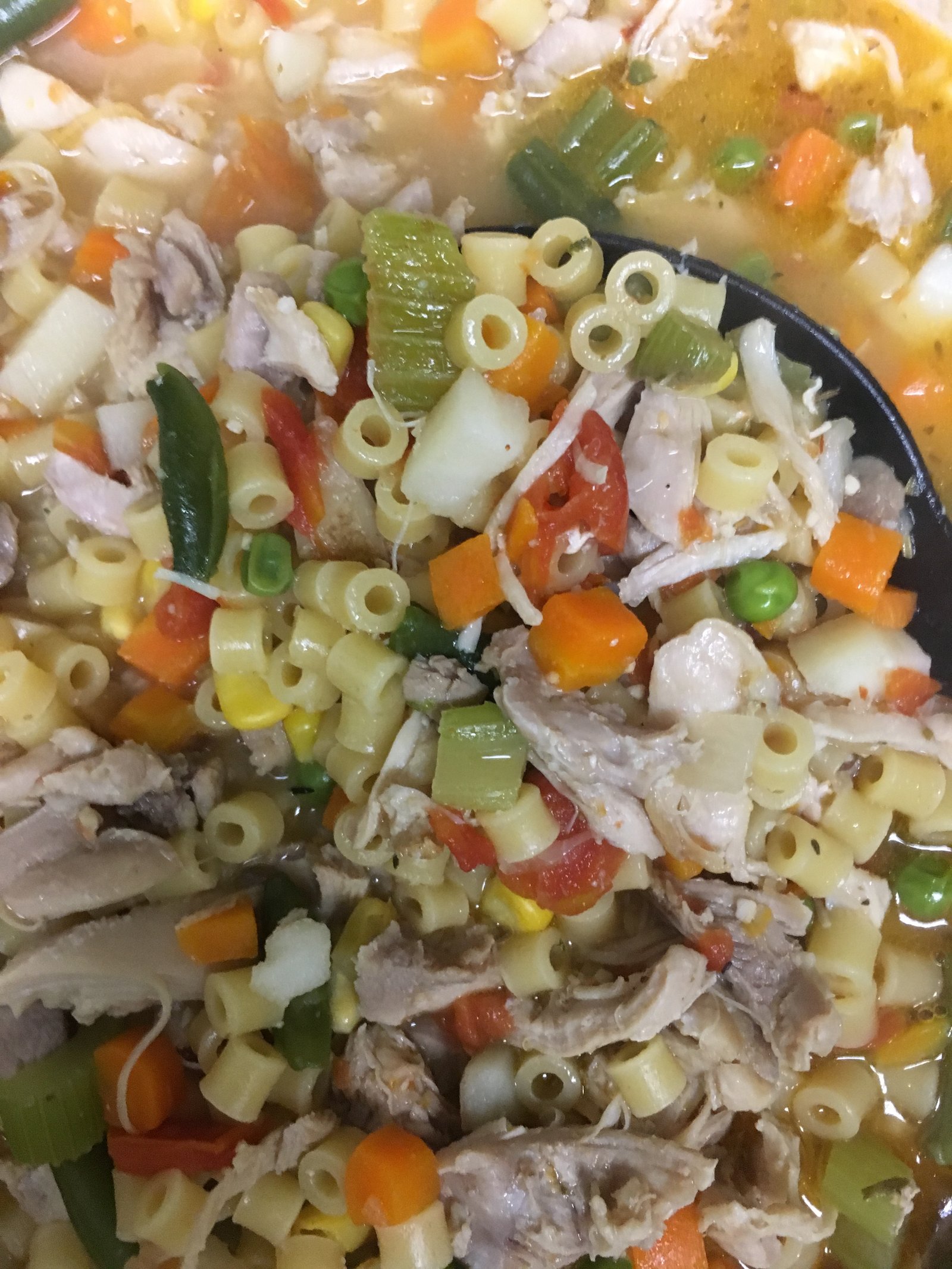 Pasta salad with garden vegetables